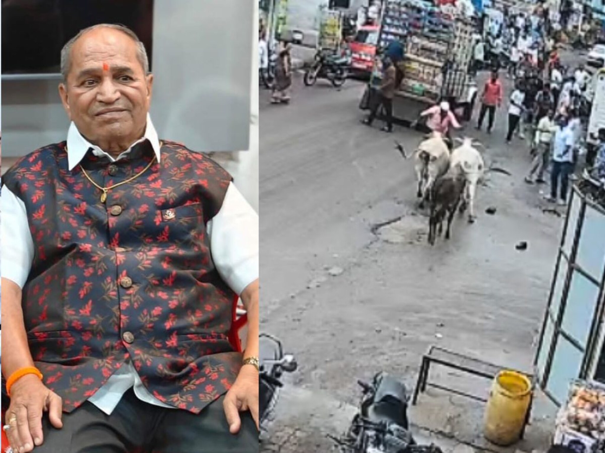 आधी धडक दिली, नंतर पायाने तुडवलं, मोकाट जणावरांचा भयानक हल्ला, वृद्धाच्या मृत्यू