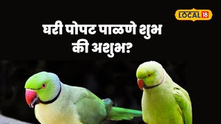 Parrot Vastu Shastra Parrot Vastu Shastra
