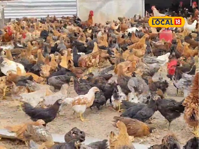 संदीप यांनी गावातच कुक्कुटपालनासाठी शेड उभारला. त्यांच्याकडे 5 हजार गावरान पक्षी आहेत. दर तीन महिन्यांनी त्यांची विक्री केली जाते. तर अंड्यांची देखील विक्री होत असते. सर्व खर्च वजा जाता महिन्याला 40 ते 50 हजार रुपयांपर्यंत कमाई होते. पण कुणाच्या हाताखाली काम न करता स्वत:चा बिझनेस समाधान देणारा ठरतोय, असे संदीप सांगतात.