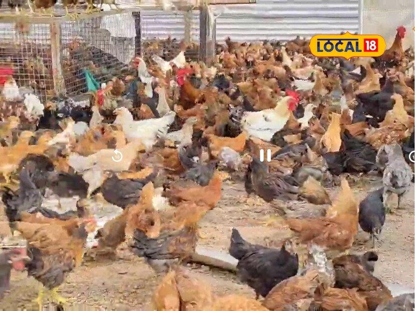 सध्याच्या काळात काही तरुण नोकरीच्या मागे न लागता स्वत:चा बिझनेस करण्याचा विचार करतात. छत्रपती संभाजीनगरमधील उच्चशिक्षित तरुणाने 1 लाख पगाराची नोकरी सोडून मालक होण्याचा निर्णय घेतला. 