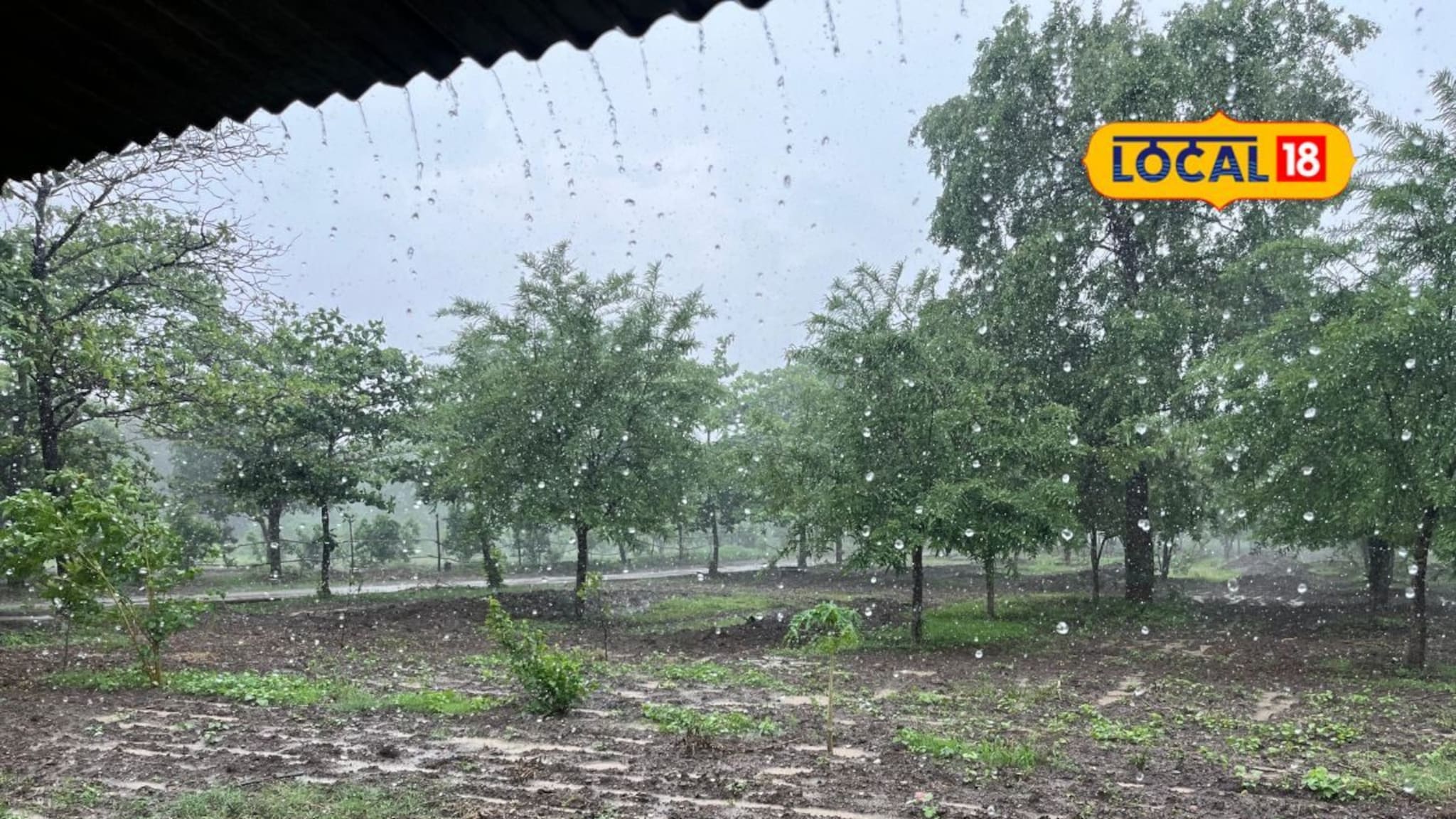 मराठवाड्यात मुसळधार पाऊस, पण काही जिल्ह्यांना 24 तासांसाठी पुन्हा अलर्ट