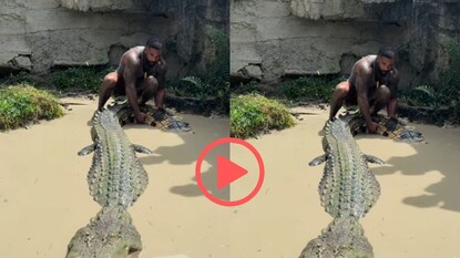 व्हायरल व्हिडीओ