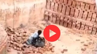 व्हायरल व्हिडीओ