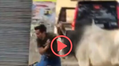 व्हायरल व्हिडीओ