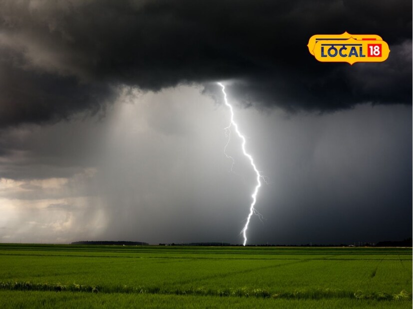 मराठवाड्यातील छत्रपती संभाजीनगर, जालना, परभणी, बीड, हिंगोली, नांदेड या सर्व जिल्ह्यांत विजांच्या कडकडाटासह आणि वादळी वाऱ्यासह पावसाची शक्यता हवामान विभागानं वर्तवली आहे. या जिल्ह्यांना पावसाचा यलो अलर्ट जारी करण्यात आला आहे. तर लातूर आणि धाराशिव या दोन जिल्ह्यांत हलक्या ते मध्यम स्वरूपाच्या पावसाची शक्यता आहे.