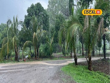 मराठवाड्यात वारं फिरलं, हवामानात मोठे बदल, पुढील 24 तासांचा हवामान अंदाज