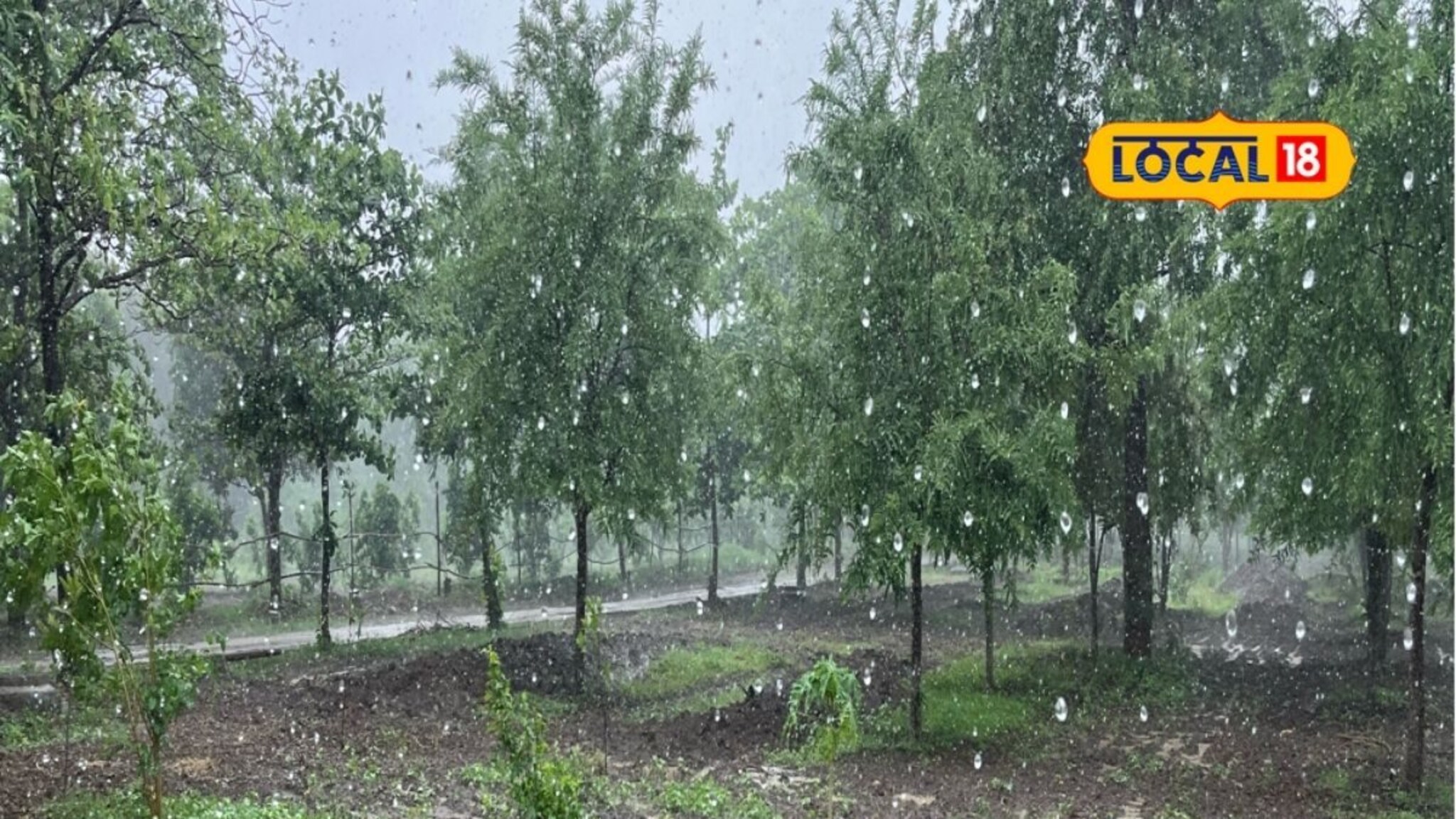 Marathwada Rain: मराठवाड्यात उघडीप की पुन्हा मुसळधार? हवामान विभागाकडून 24 तासांचं अपडेट