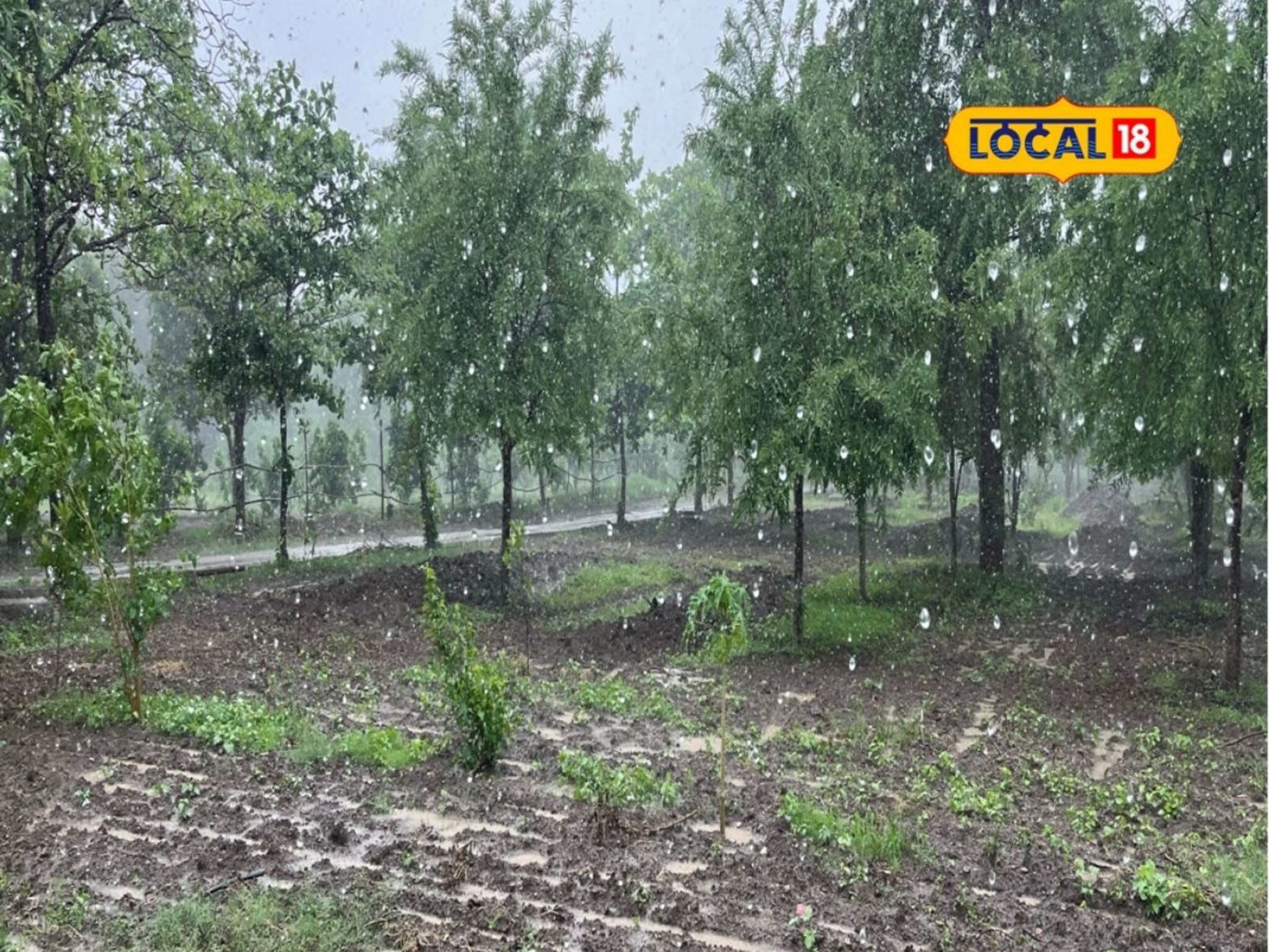 मराठवाड्यात उघडीप की पुन्हा मुसळधार? हवामान विभागाकडून 24 तासांचं अपडेट