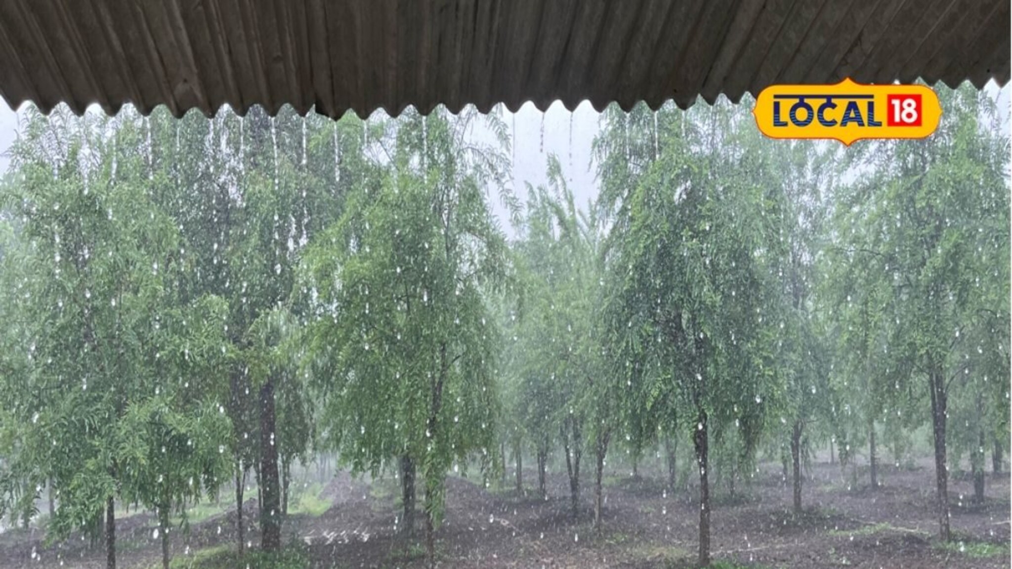 Marathwada Rain: मराठवाड्यात वारं फिरलं, हवामानात मोठे बदल, पुढील 24 तासांचा हवामान अंदाज
