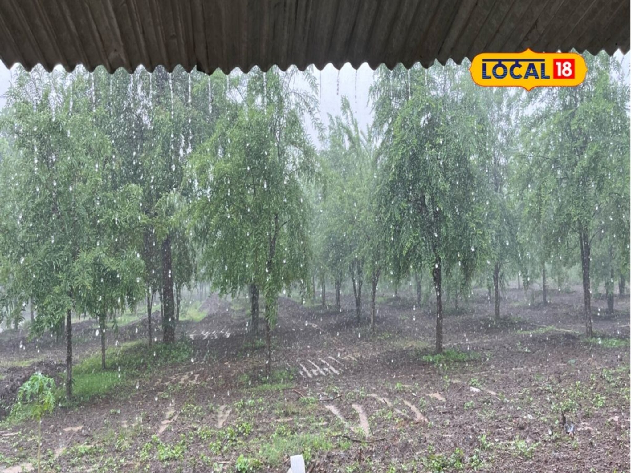 Marathwada Rain: मराठवाड्यात वारं फिरलं, हवामानात मोठे बदल, पुढील 24 तासांचा हवामान अंदाज