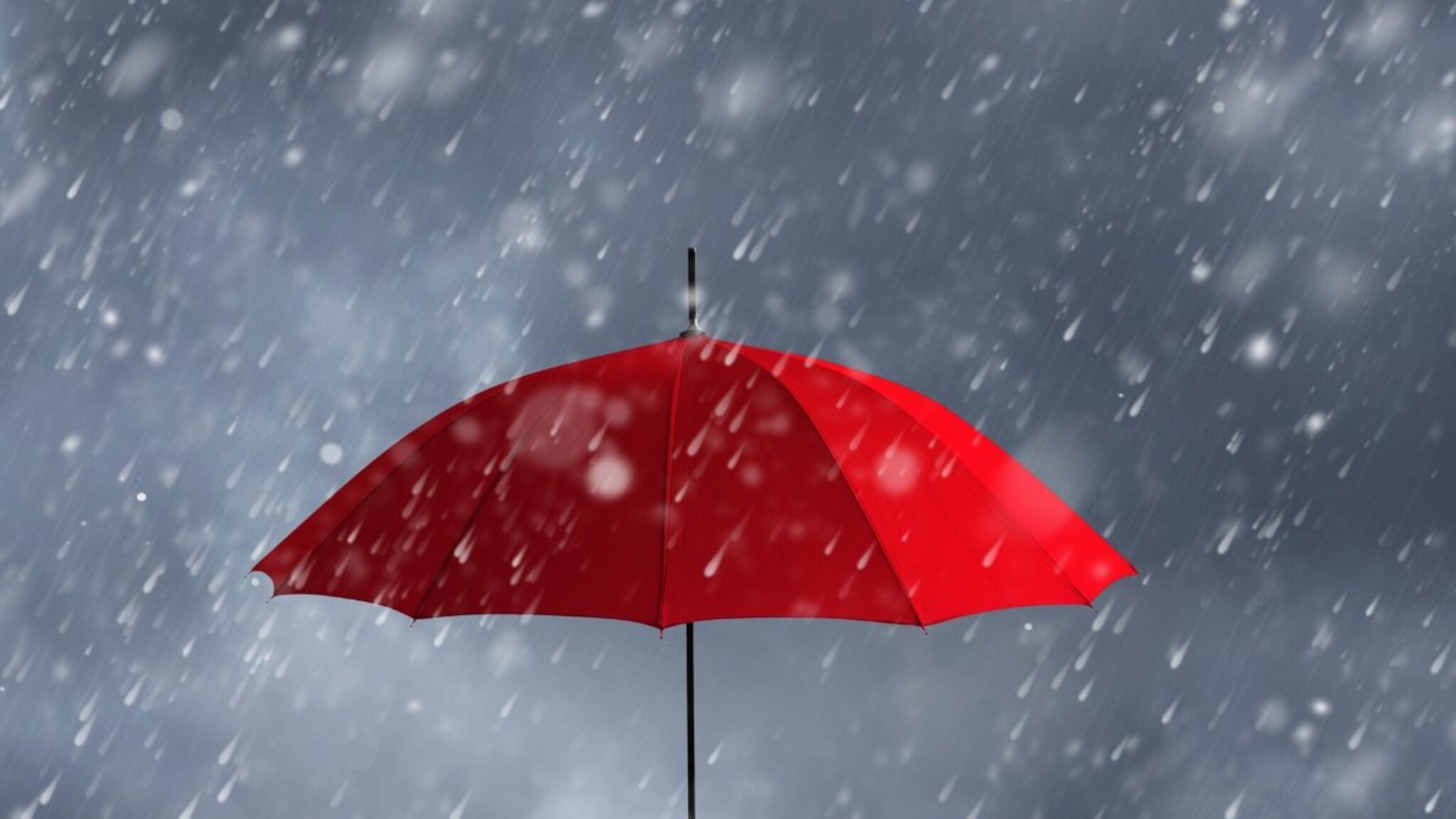 जगातील पहिली 'छत्री' कुठे बनली? त्यामागे आहे 4000 वर्षांपूर्वीचा रंजक इतिहास, 'Umbrella’ नेमका अर्थ काय?