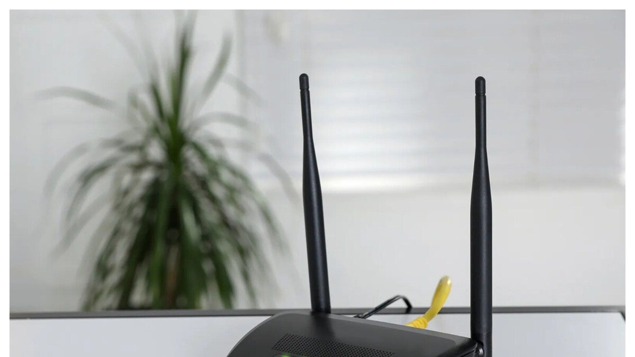 WiFi राउटरच्या कलरफूल रंगांचा अर्थ काय? 99% लोकांना माहितीच नाही उत्तर