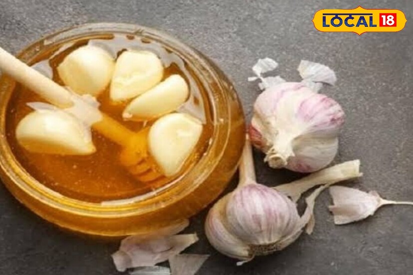 लसूण आणि मध दोन्हीचे सेवन आरोग्यासाठी खूप फायदेशीर मानले जाते. याचा एवढा फायदा होतो की तुम्ही कल्पनाही करू शकत नाही. वजन नियंत्रित करण्यापासून ते रोगप्रतिकारक शक्ती वाढवण्यापर्यंत आणि हृदयाच्या आरोग्यापर्यंत ते उत्कृष्ट मानले जाते.