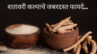 शतावरी कल्प फायदे शतावरी कल्प फायदे
