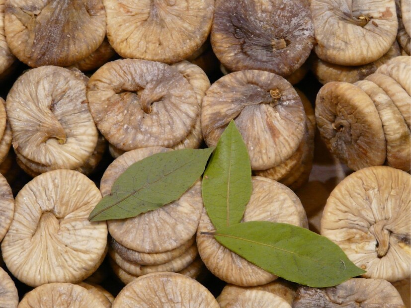  वजन कमी करण्यास मदत करते : तुम्ही जर निरोगी आहाराचा विचार करत असाल तर त्यात अंजीरचा नक्कीच समावेश करा. अंजीरातील उच्च फायबर सामग्रीमुळे पोट जास्त काळ भरलेले राहते आणि अनावश्यक स्नॅकिंगची इच्छा कमी होते, ज्यामुळे ते वजन कमी करण्यासाठी किंवा वजन नियंत्रित ठेवण्यासाठी एक उत्कृष्ट पर्याय आहे.