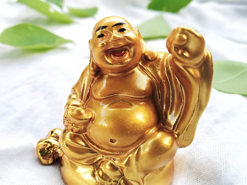  लॉफिंग बुद्धा : फेंगशुईमध्ये लॉफिंग बुद्धा ला समृद्धी आणि आनंदाचं प्रतीक मानलं जातं. ऑफिस डेस्कवर लॉफिंग बुद्धा ठेवल्याने तुमच्या आजूबाजूला सकारात्मक ऊर्जा टिकून राहते. दुसरीकडे, जे व्यवसाय करतात, जर त्यांनी त्यांच्या व्यवसायाच्या ठिकाणी लॉफिंग बुद्धा ठेवला, तर त्यांना प्रगती मिळते. तणाव कमी करण्यासही ते मदत करतं. लक्षात ठेवा की लॉफिंग बुद्धाचा चेहरा मुख्य दाराकडे असावा.