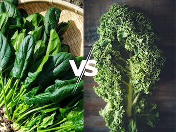 Spinach Vs. Kale Spinach Vs. Kale