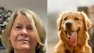 Shocking News Shocking News