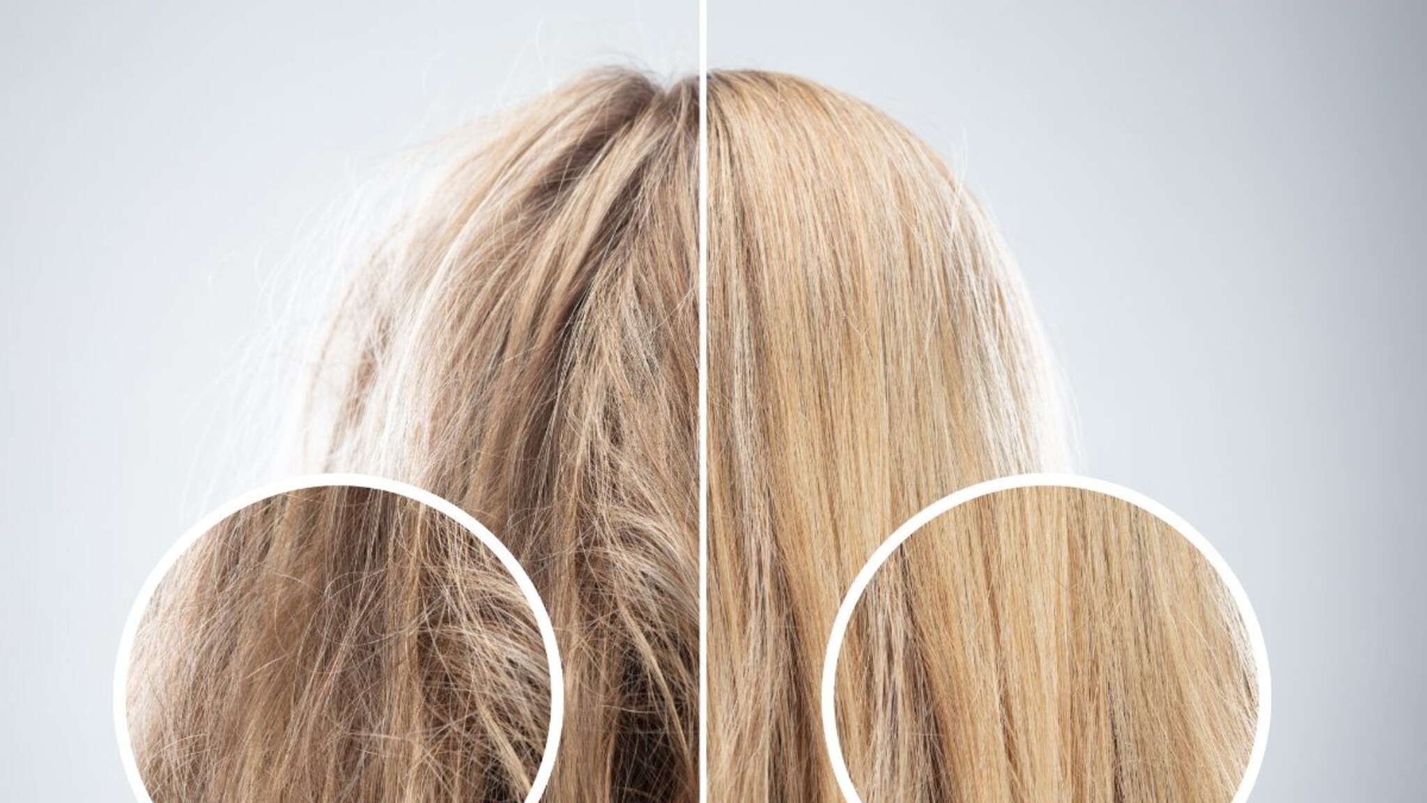 कोरडे आणि रुक्ष केस? काळजी करू नका! लो पोरोसिटी केसांसाठी करा 'हे' 7 उपाय; केस होतील मऊ आणि चमकदार!