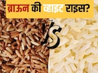 भात खाल्ल्यामुळे वजन खरंच वाढत? तज्ज्ञांनी सांगितलं हा Rice खाल्ला तर होत नाही..