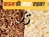 भात खाल्ल्यामुळे वजन खरंच वाढत? तज्ज्ञांनी सांगितलं हा Rice खाल्ला तर होत नाही..