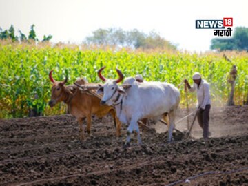 agriculture news 