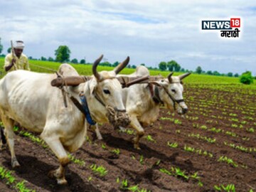 agriculture news 