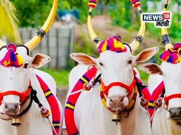 agriculture news 