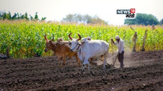 agriculture news