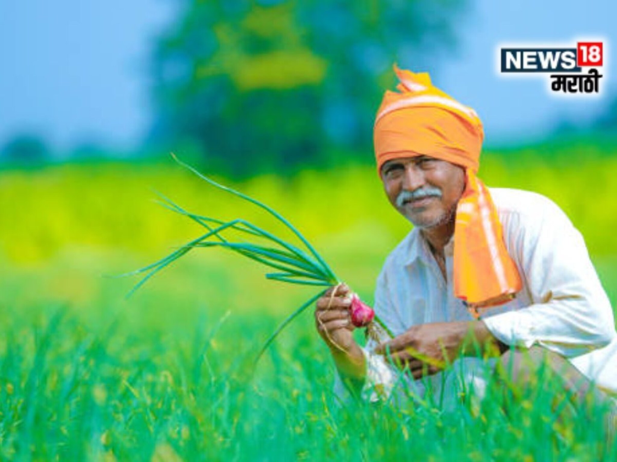 अन्यथा शेतकऱ्यांचा लाडकी बहीण,पीएम किसान योजनेचा लाभ बंद होणार! वाचा नियमावली