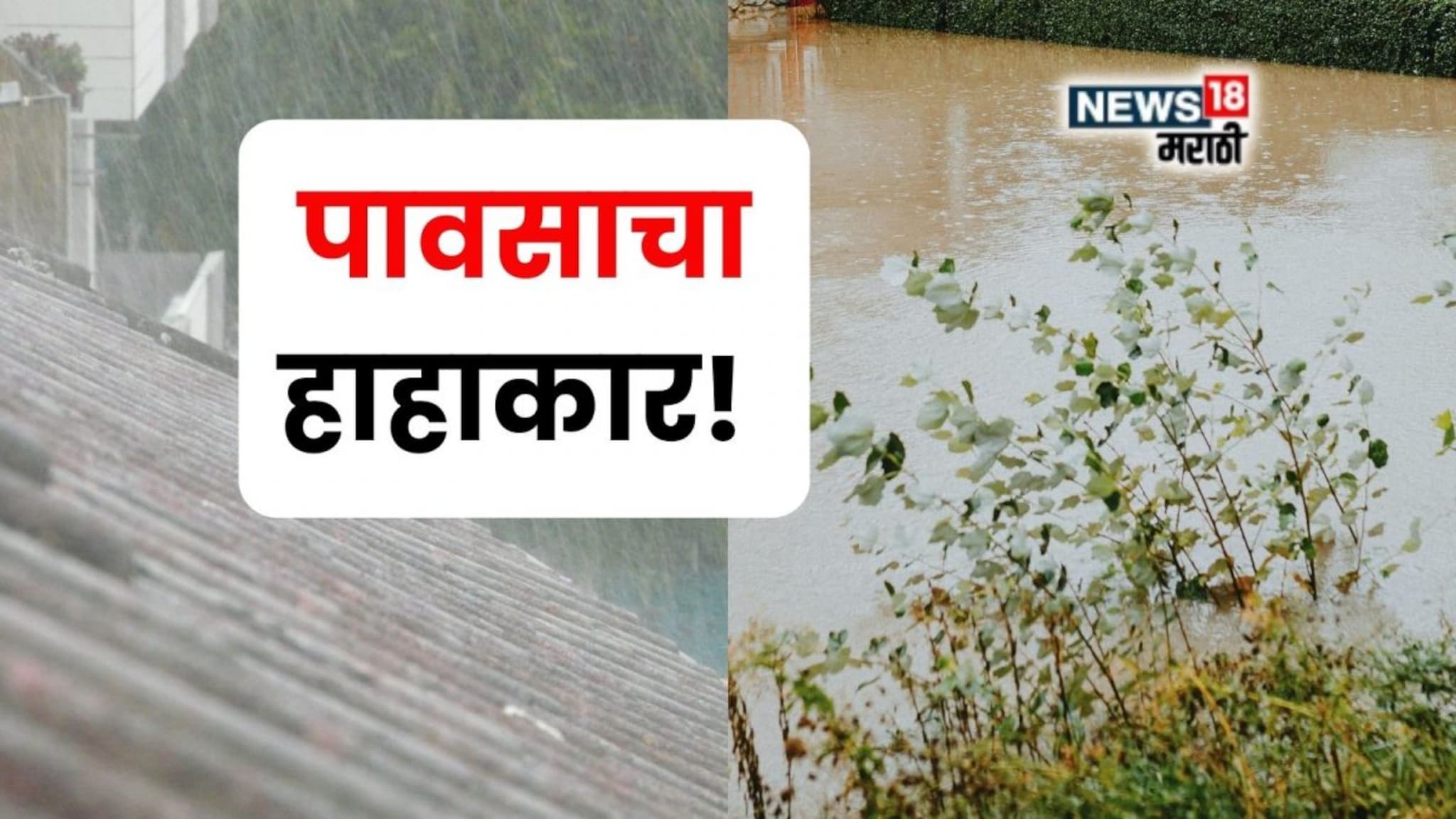 कृषी हवामान  : पावसाचा कहर! पुढील 24 तास धोक्याचे,पुराची शक्यता, या जिल्ह्यांना रेड अलर्ट जाहीर