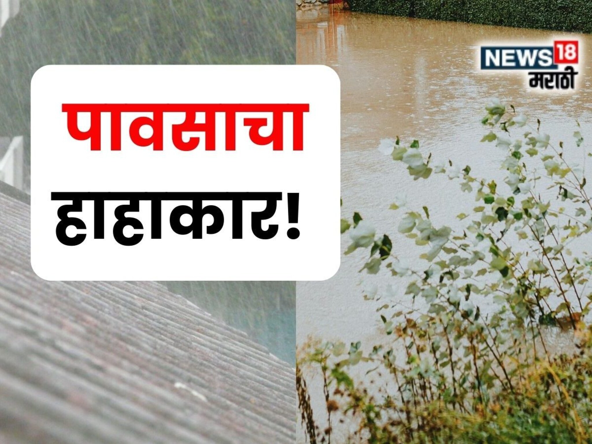 पावसाचा कहर! पुढील 24 तास धोक्याचे,पुराची शक्यता, या जिल्ह्यांना रेड अलर्ट जाहीर
