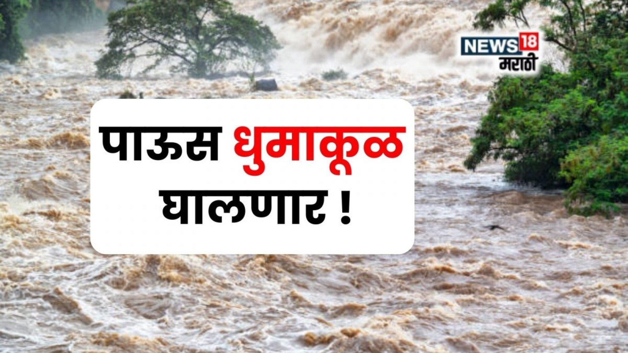 कृषी हवामान : पावसाचा जोर वाढणार! पूर परिस्थितीची शक्यता, या जिल्ह्यांना IMD कडून अलर्ट जाहीर
