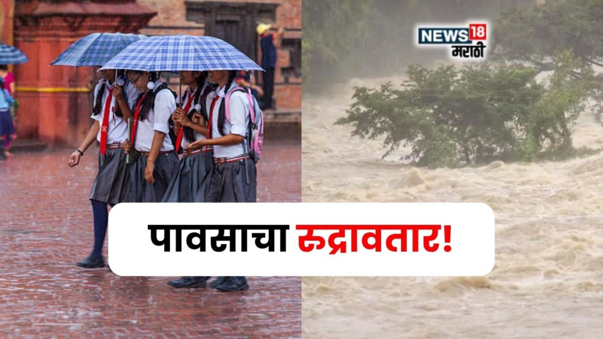 पावसानं सळो की पळो करून सोडलं! रेड अलर्ट जारी, या जिल्ह्यांत शाळांना सुट्टी जाहीर