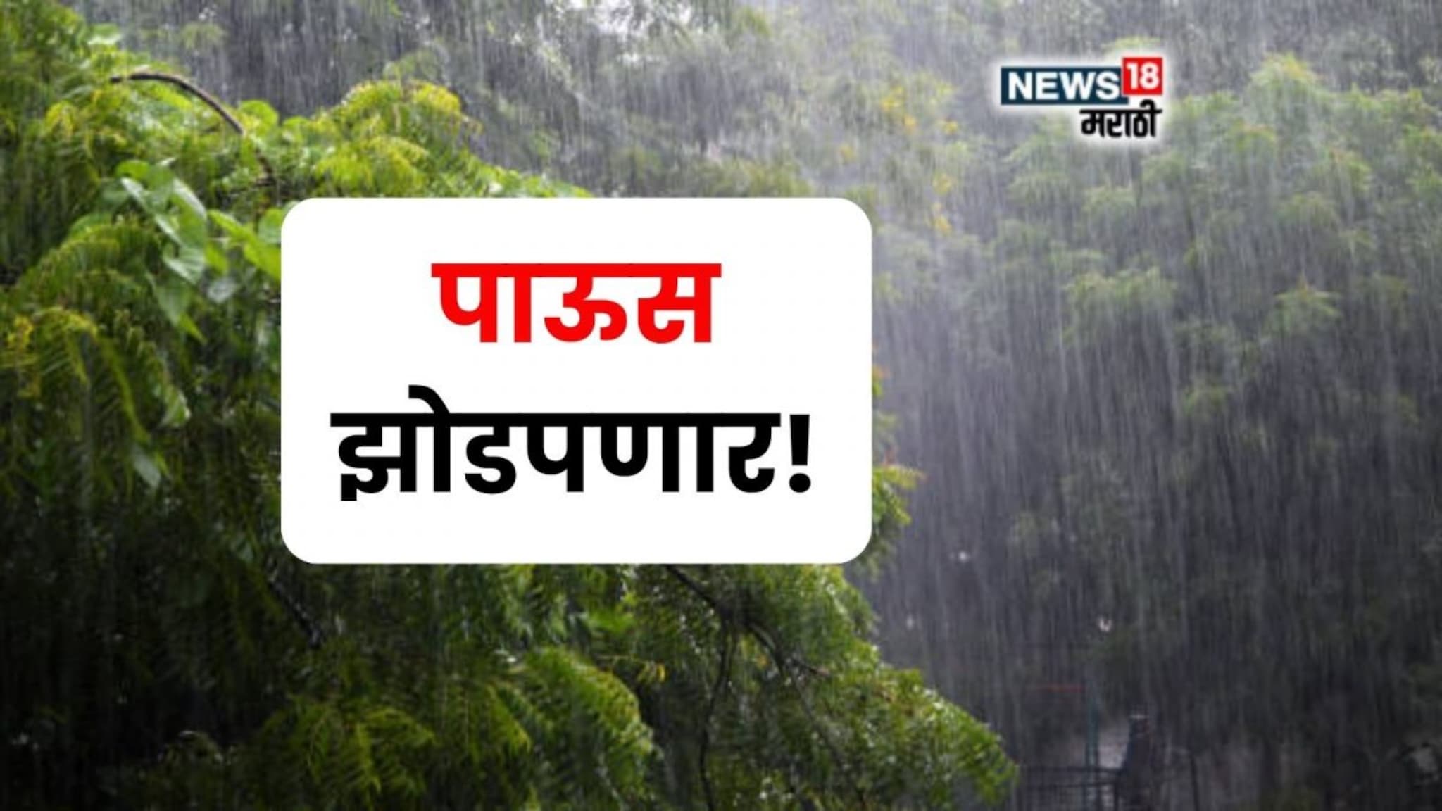 पाऊस पुन्हा झोडपणार! नद्या, नाले ओसंडून वाहणार, या  जिल्ह्यांना IMD चा हाय अलर्ट