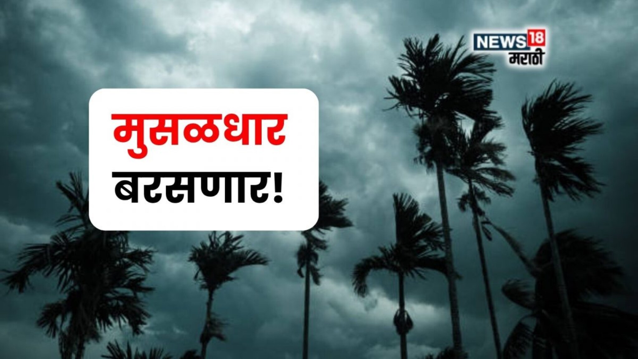 कृषी हवामान : पाऊस थैमान घालणार! नद्या,नाले ओसंडून वाहणार, या जिल्ह्यांना IMD चा इशारा