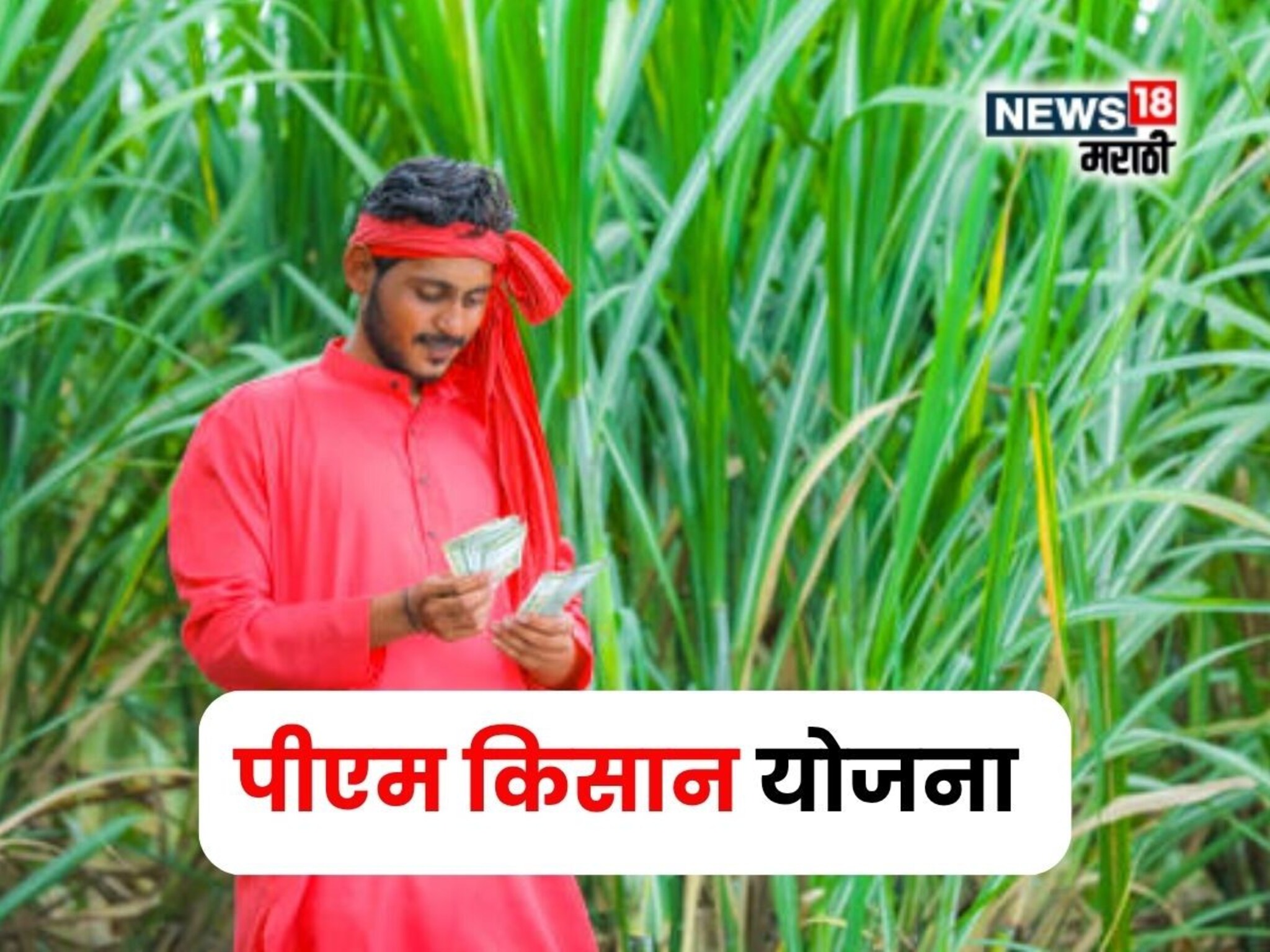 PM Kisan च्या 20 व्या हप्त्याबाबत कृषी मंत्रालयाकडून महत्वाची अपडेट!