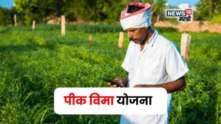 pik vima yojana pik vima yojana