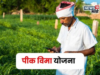 pik vima yojana  pik vima yojana