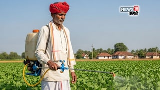 maharashtra weather update 