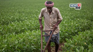 maharashtra weather news maharashtra weather news