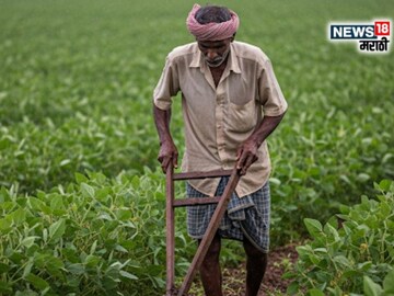 maharashtra weather news 