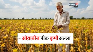  Agriculture News 