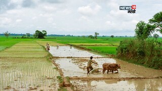 maharashtra weather update 