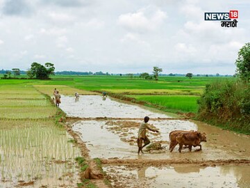 maharashtra weather update maharashtra weather update