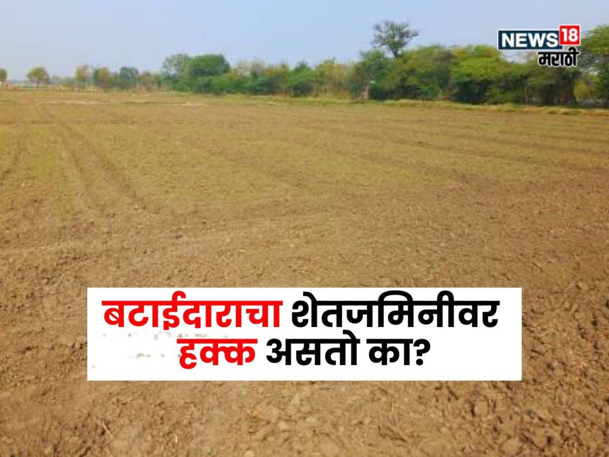 बटाईदार म्हणजे कोण? शेतजमिनीवर त्याचा काय हक्क असतो?