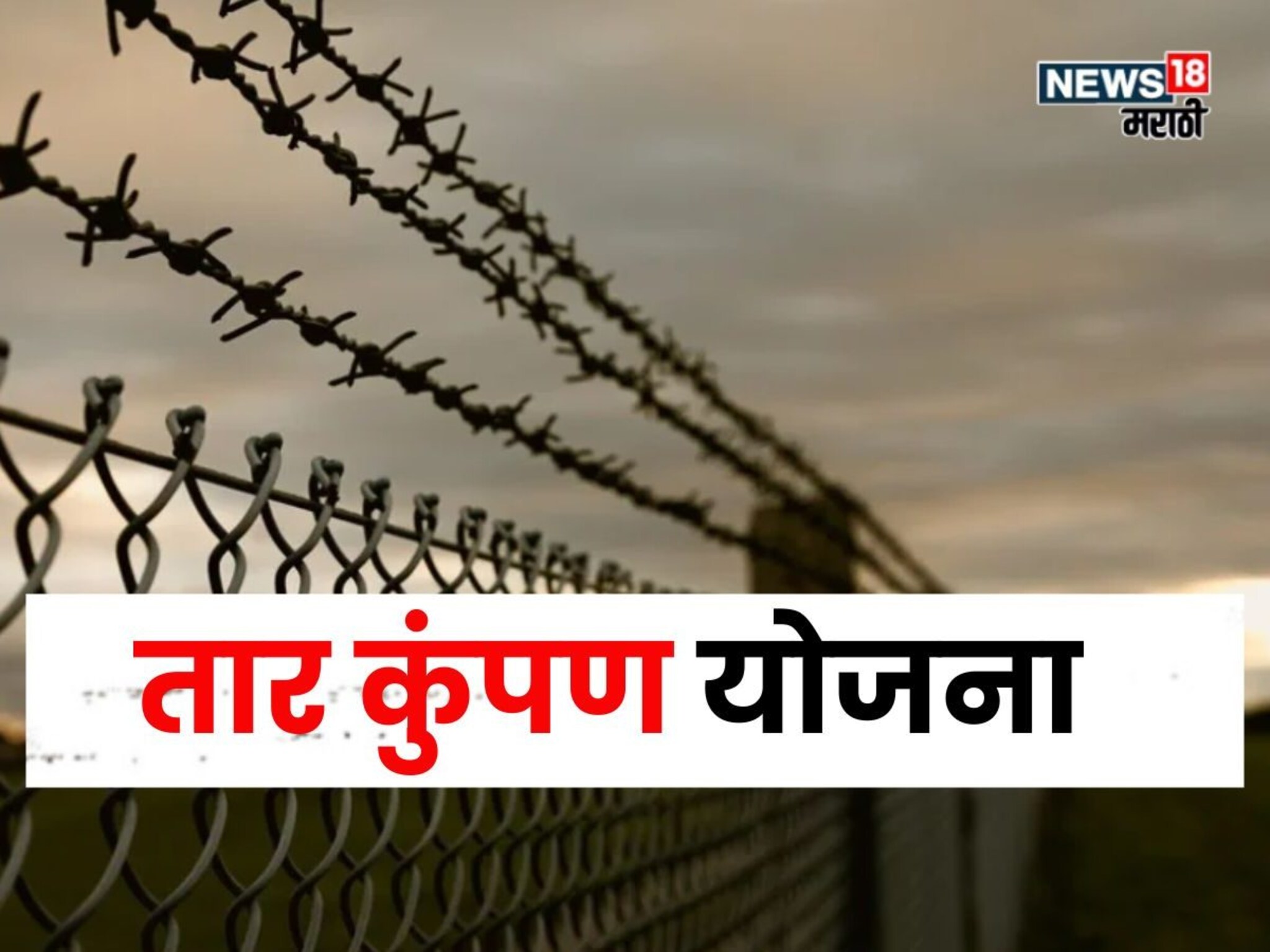 शेताला तार कुंपण करण्यासाठी सरकार देतंय पैसे, अर्ज कसा अन् कुठे करायचा?