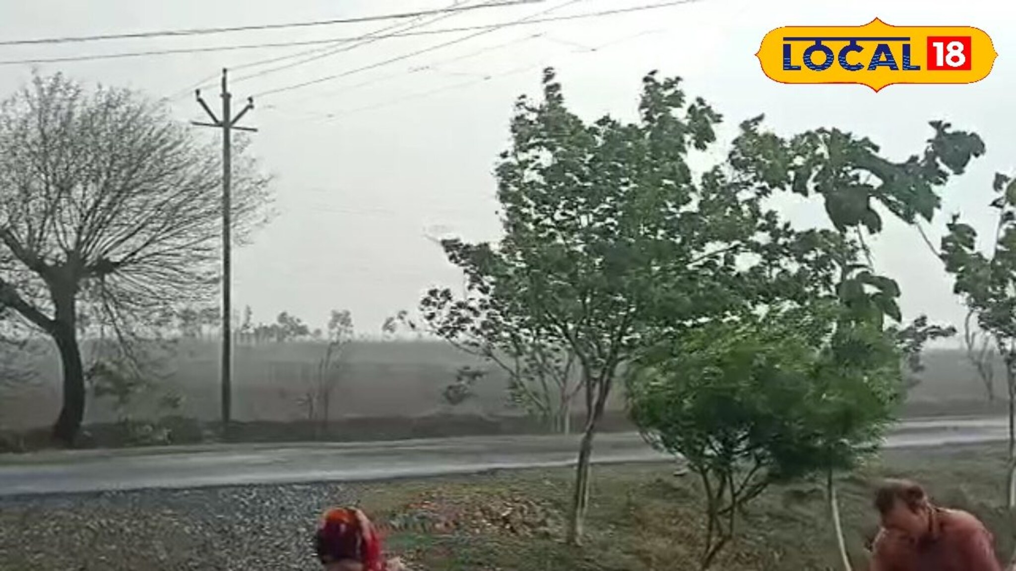 Weather Alert: मराठवाड्यात 24 तास पावसाचे, बीड, लातूरसह 6 जिल्ह्यांना अलर्ट, आजचा हवामान अंदाज