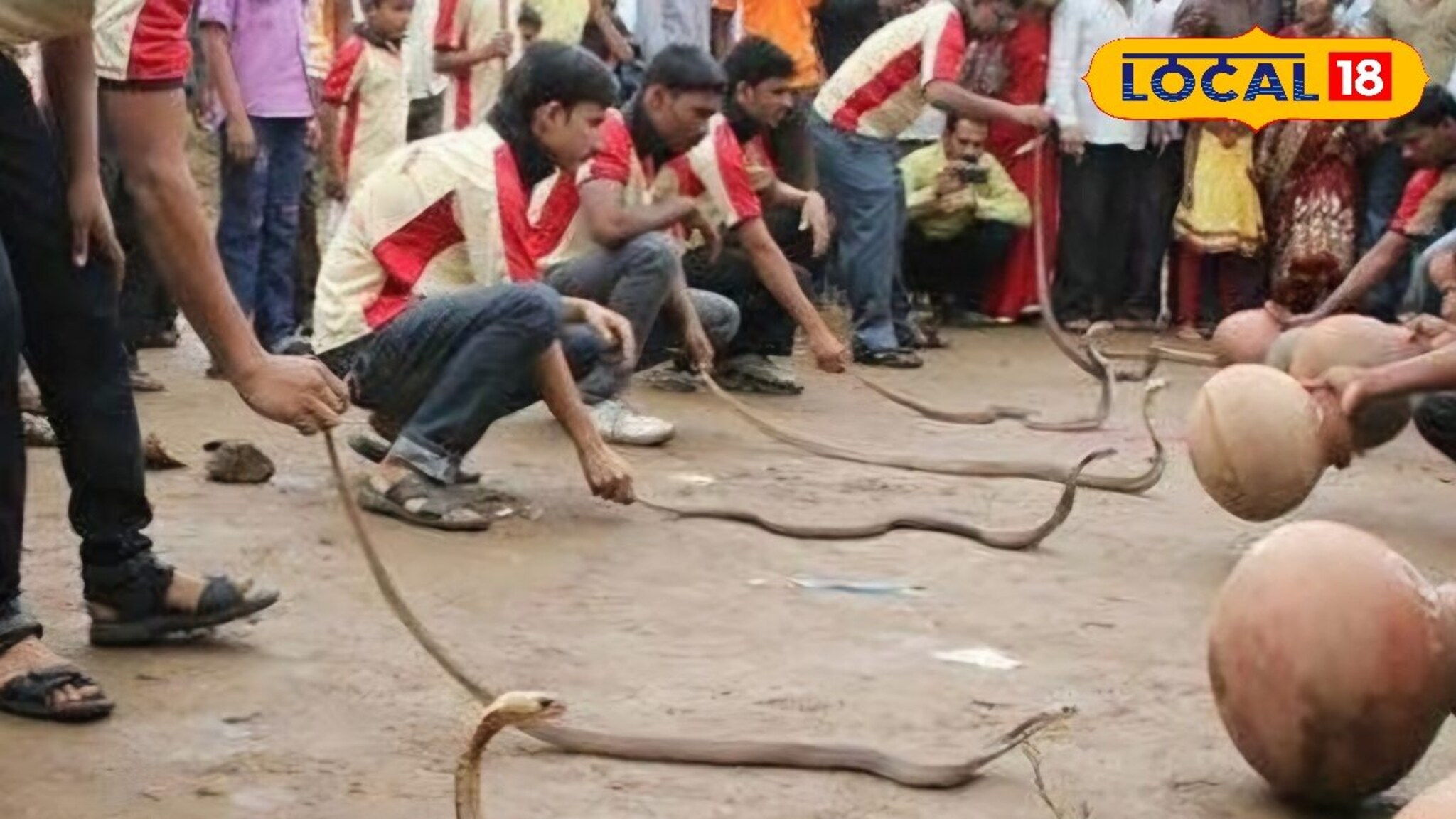 Nag Panchami: 32 शिराळ्यात पुन्हा सुरू होणार जिवंत नागाची पूजा? काय आहेत शिराळकरांच्या भावना? Video