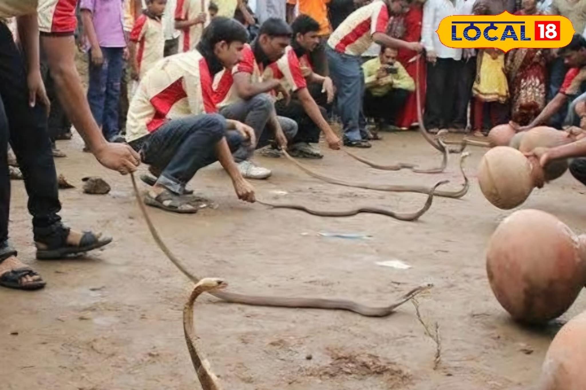 32 शिराळ्यात पुन्हा सुरू होणार जिवंत नागाची पूजा? काय आहेत शिराळकरांच्या भावना?